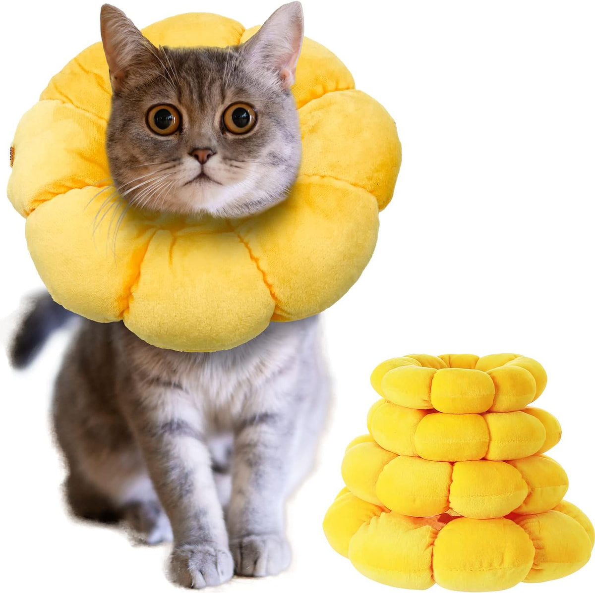 KUDES sunflower cat recovery collar front view on a kitten