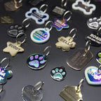 PetANTastic Engraved Cat ID Tags attached securely to a pet collar