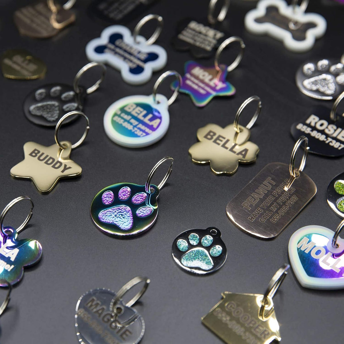 PetANTastic Engraved Cat ID Tags attached securely to a pet collar