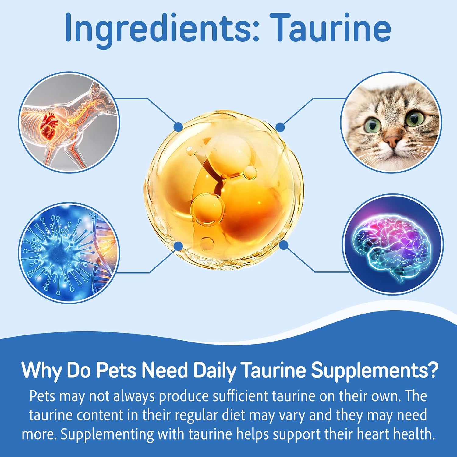 Pure pet taurine powder ingredient and dosage guide view