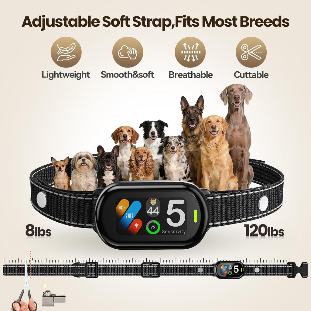 Dog wearing Zellar smart bark collar for size reference