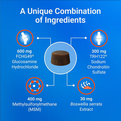 Nutramax Laboratories Cosequin imported pet wellness soft chews bottle side profile
