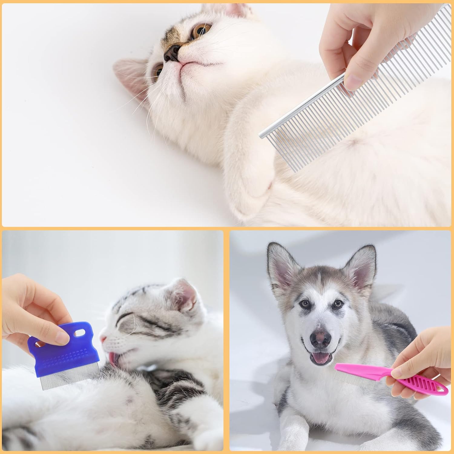 Full contents of the Kalamanda ten piece imported pet health and hygiene kit