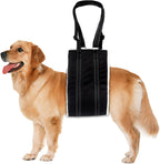 Small breed dog using rear leg support harness for mobility