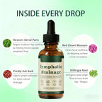 Lymphatic Drainage Drops, Bloat Relief & De-Puff, Immune & Lymph System Support Supplement, - Cleavers, Red Clover, Stillingia Root & Prickly Ash Bark, Fluid Retention, Vegan & Alcohol-Free, 2 Fl Oz - Image 4