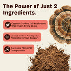 Authentic USA imported Lumiqour pet wellness powder for digestive health