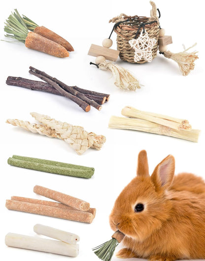 Guinea pig foraging toy basket with corn husk and wood blocks for cage enrichment