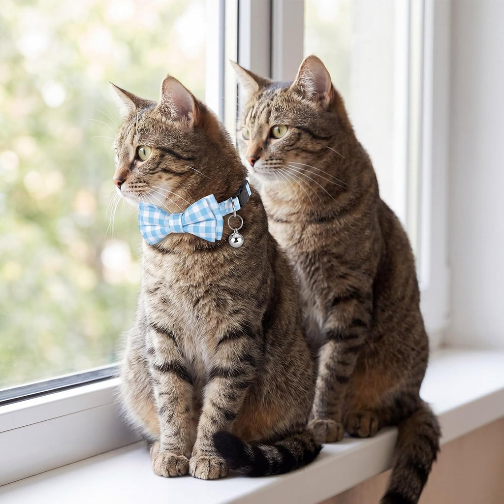 Sliverdew adjustable small puppy safety collar demonstrating the flexible sizing mechanism.