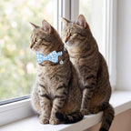 Sliverdew adjustable small puppy safety collar demonstrating the flexible sizing mechanism.