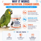 Close up of UnRuffledRx supplement packaging for parrots