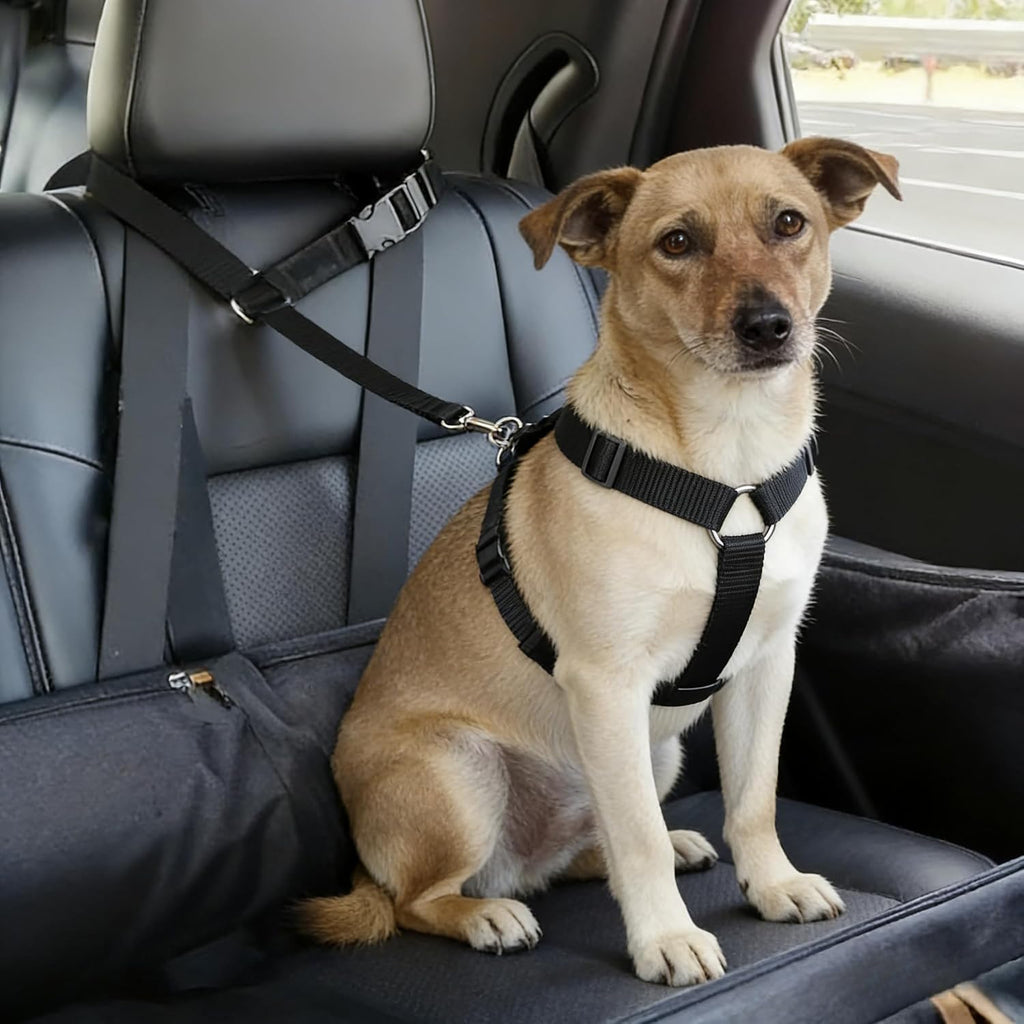Adjustable nylon pet safety strap for vehicles