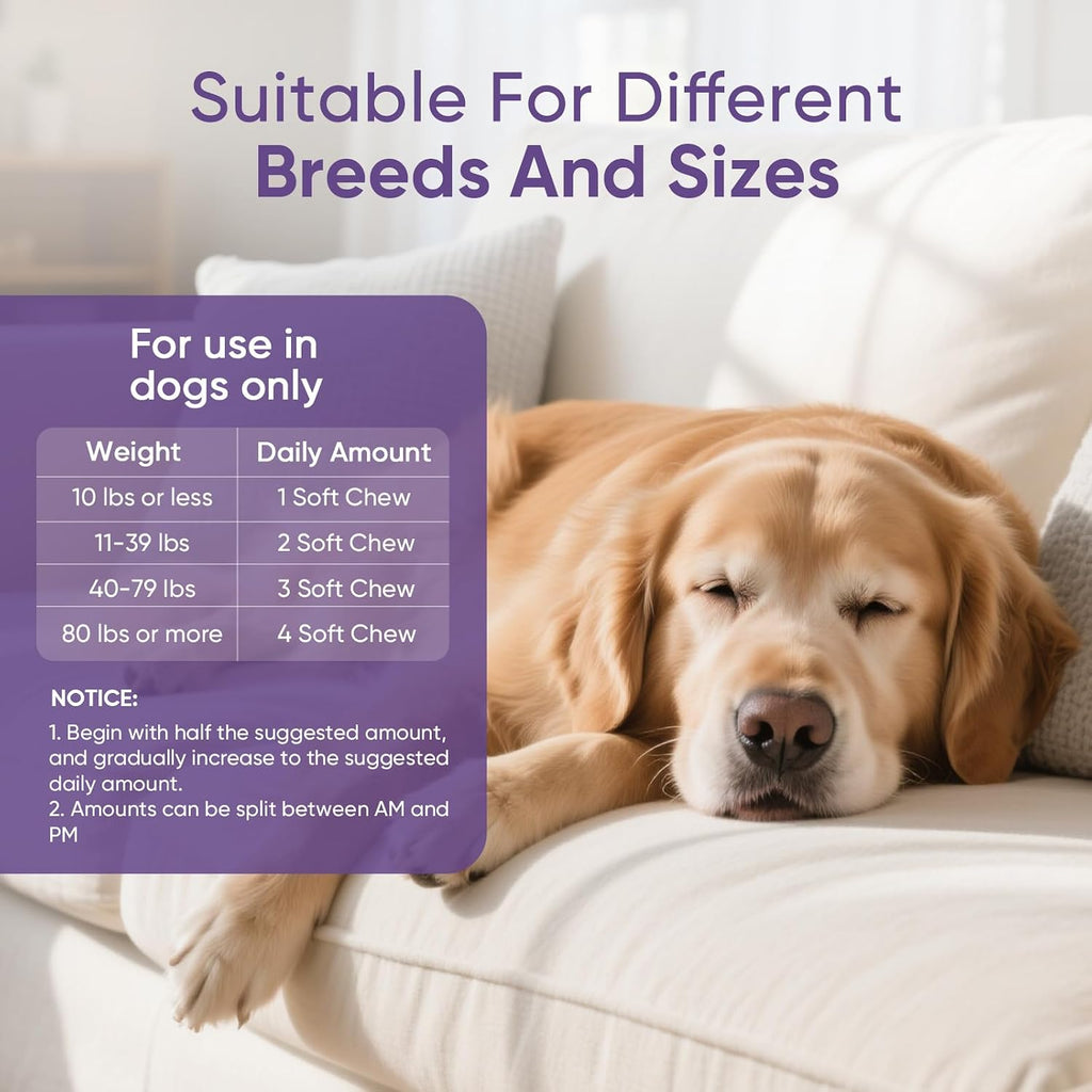 Ttlxrl calming chews packaging showing GMP certified logo