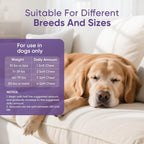 Ttlxrl calming chews packaging showing GMP certified logo