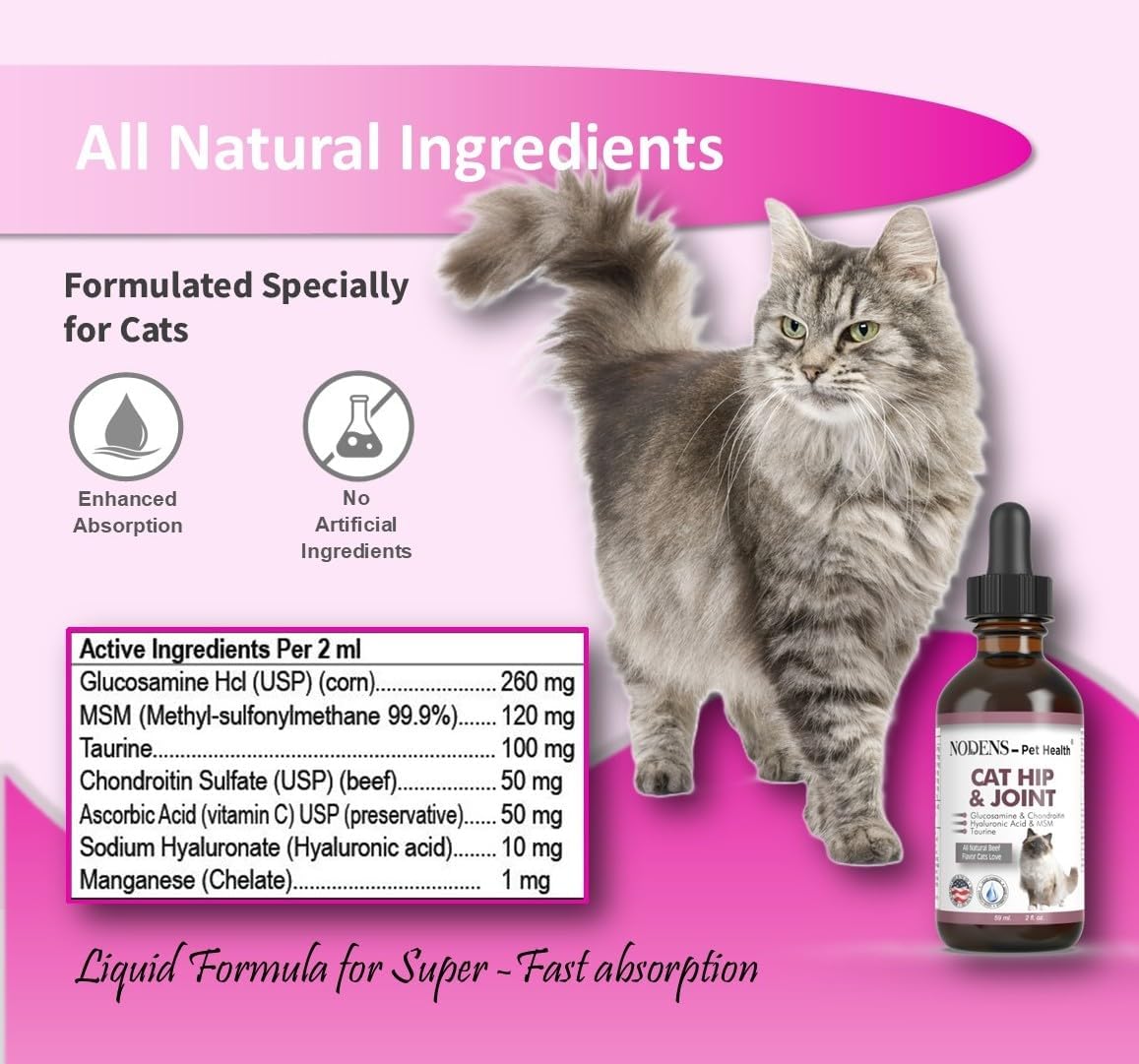 Nodens pet health cat supplement bottle packaging angle