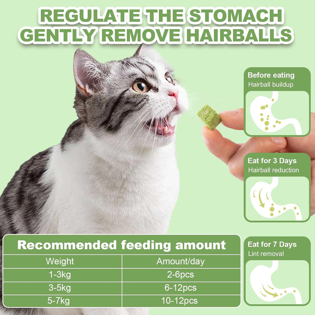 Authentic USA imported healthy cat treats texture detail.