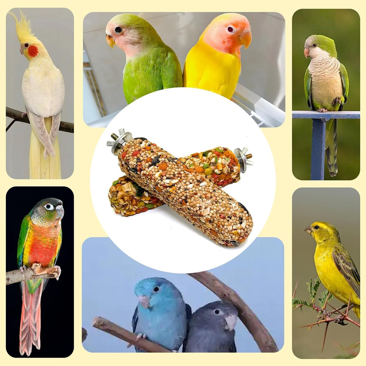 Packaging details and product labels for Acsist bird crunch sticks