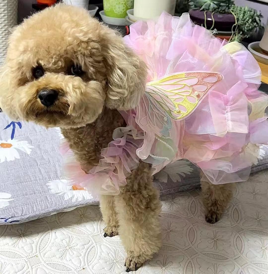 Detailed view of butterfly wings on pet dress