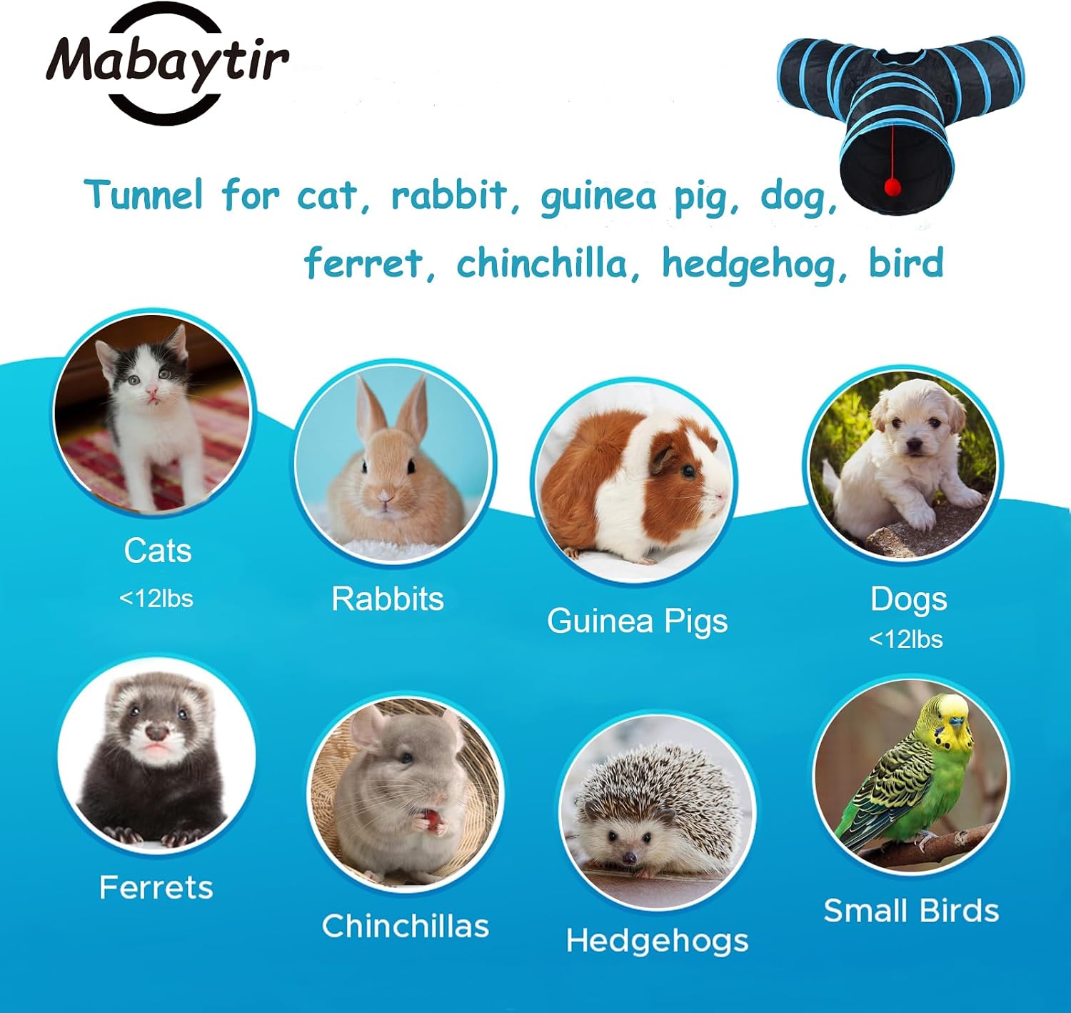 Collapsible kitten toy tube with hanging ball and bell