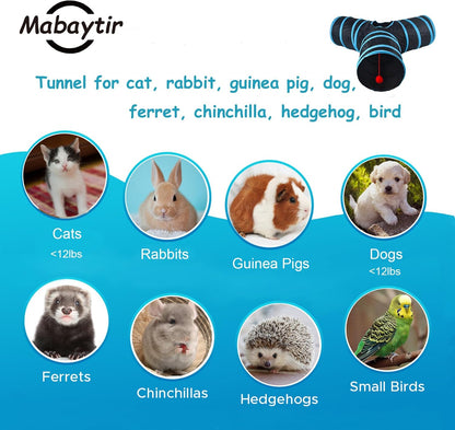 Collapsible kitten toy tube with hanging ball and bell