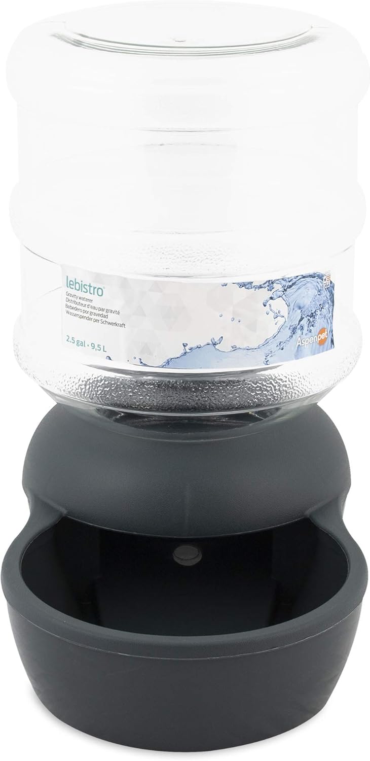 Petmate Aspen Pet Lebistro water station setup in a modern home kitchen