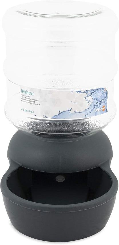 Petmate Aspen Pet Lebistro water station setup in a modern home kitchen
