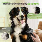 Pecute Self-Cleaning Undercoat Rake for Dogs Cats with Thick Double Coats | 1-click clean, 304SS, 18 rounded teeth, For seasonal heavy shedding & matting, Gentle on pets, Ideal for long/dense coats - Image 9