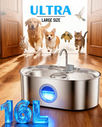 Close up of Ecoconut large dog water fountain LED water window