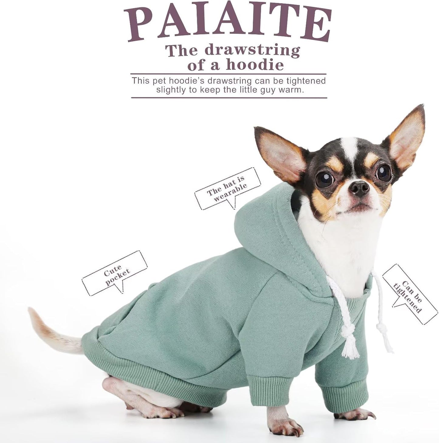 Authentic USA imported Paiaite small dog apparel all weather wear cyan