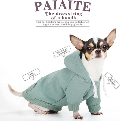 Authentic USA imported Paiaite small dog apparel all weather wear cyan