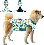 V.PET.B.R dog surgery recovery suit front view on a dog featuring a green dinosaur pattern print