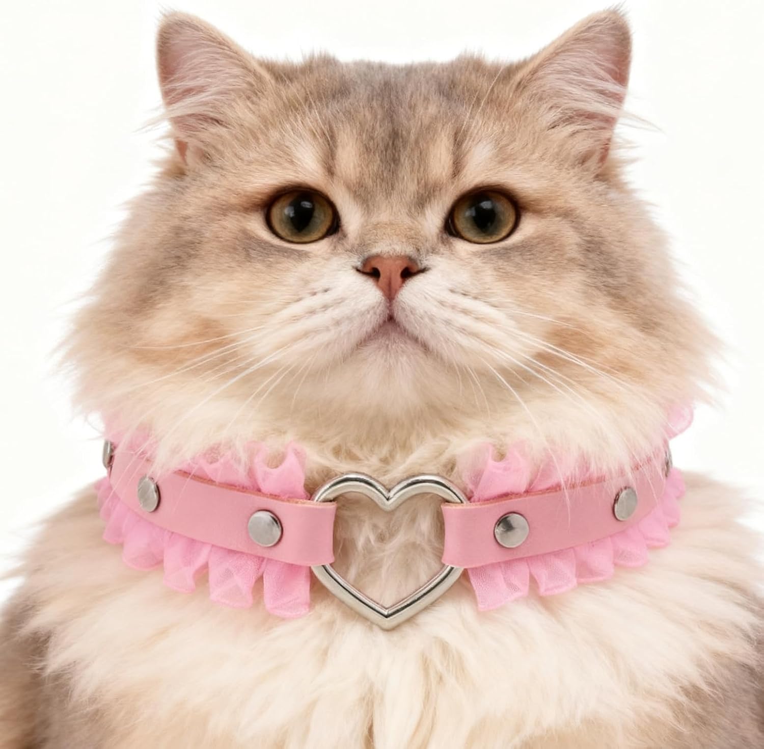 Pet wearing pink heart collar with lace details