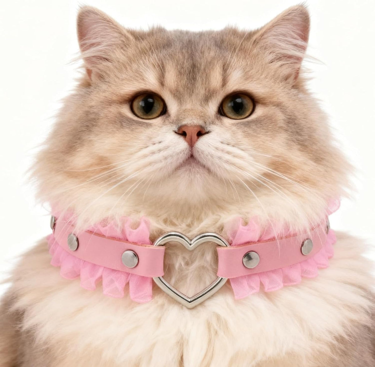 Pet wearing pink heart collar with lace details
