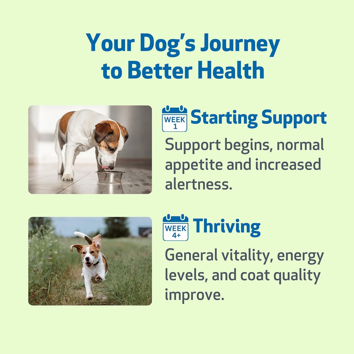 Pet Wellbeing Life Gold for Dogs - Supports Detoxification & Immune System Health with Astragalus & Sheep Sorrel - NASC Certified & Vet-Formulated - 4 oz Liquid Formula - Image 9