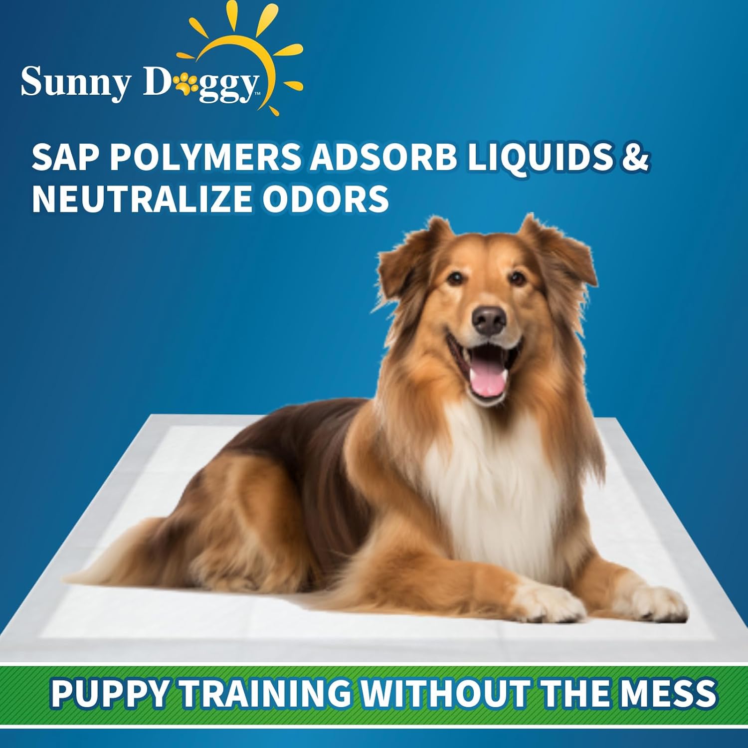 Disposable dog housebreaking supplies for indoor pet training and care.