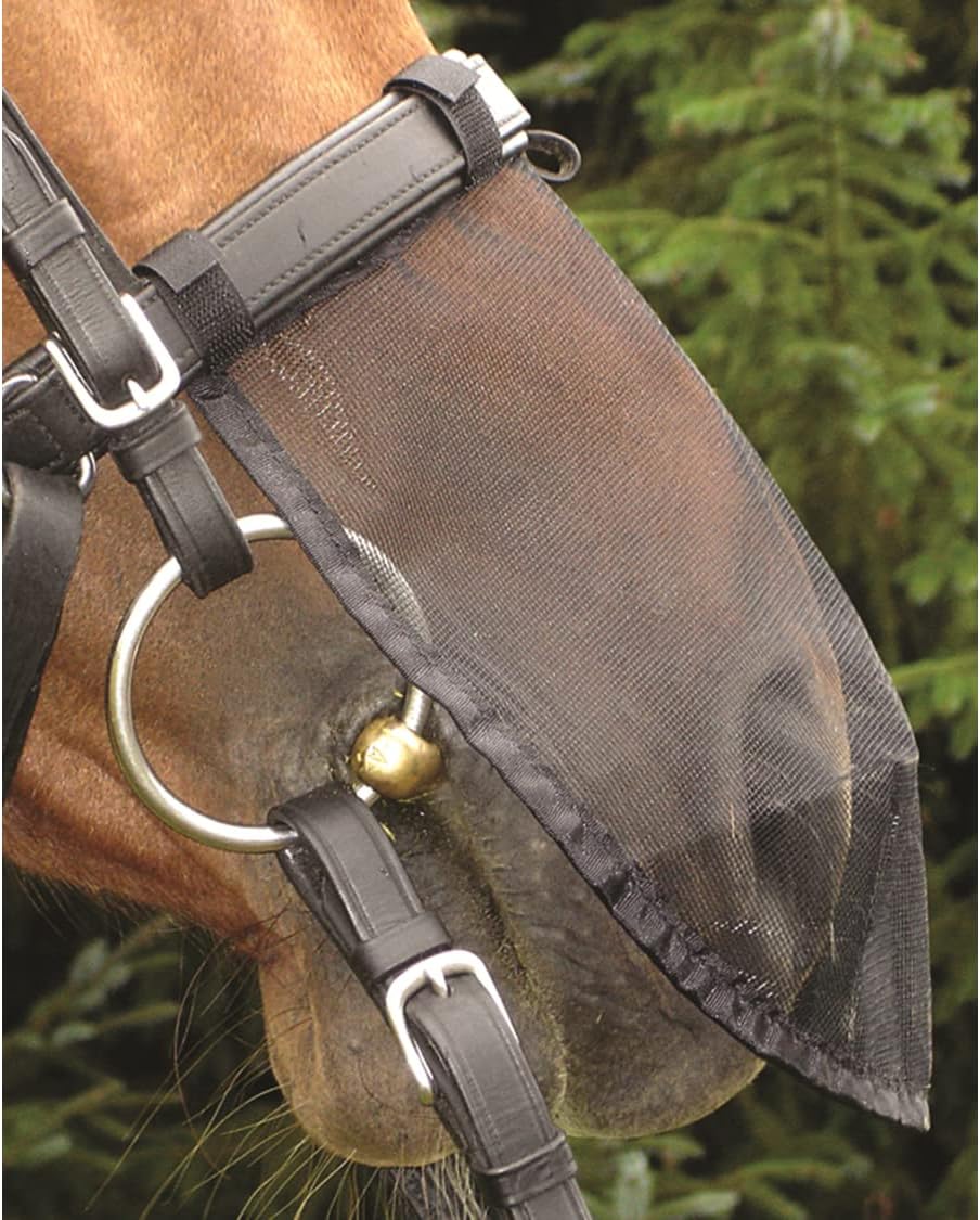 Cashel equestrian nose net protective gear attached to bridle for riding