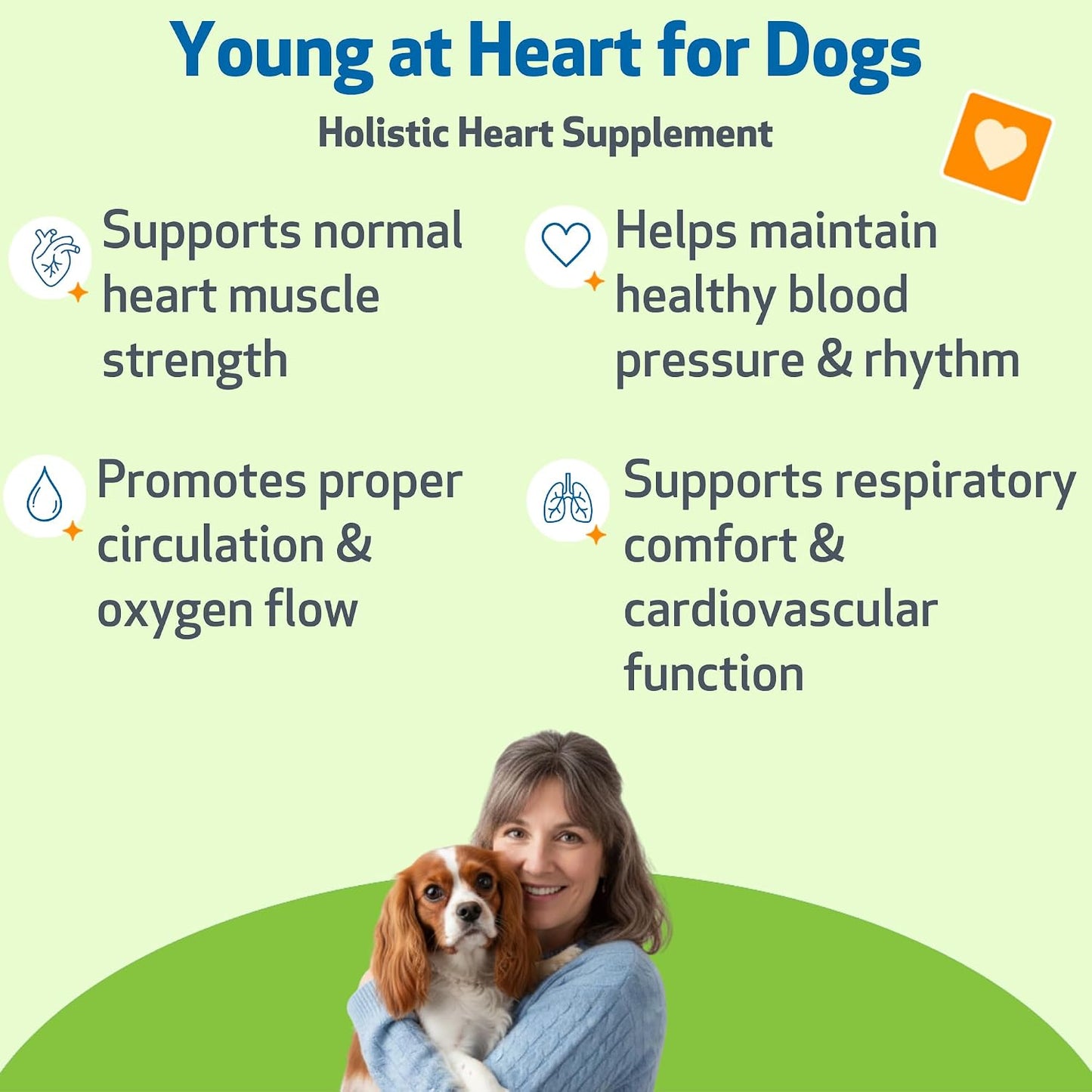 Pet Wellbeing dog heart supplement packaging highlighting natural hawthorn and motherwort ingredients.