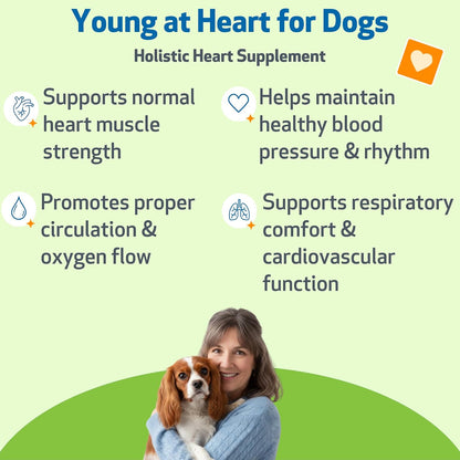 Pet Wellbeing dog heart supplement packaging highlighting natural hawthorn and motherwort ingredients.