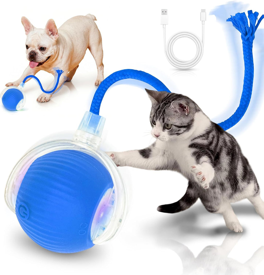 Maxtooa pet toy packaging and contents