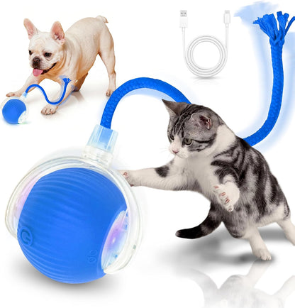 Maxtooa pet toy packaging and contents