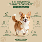 SHINEPAWS dog probiotic soft chews showing the side panel with ingredients and prebiotic enzymes.