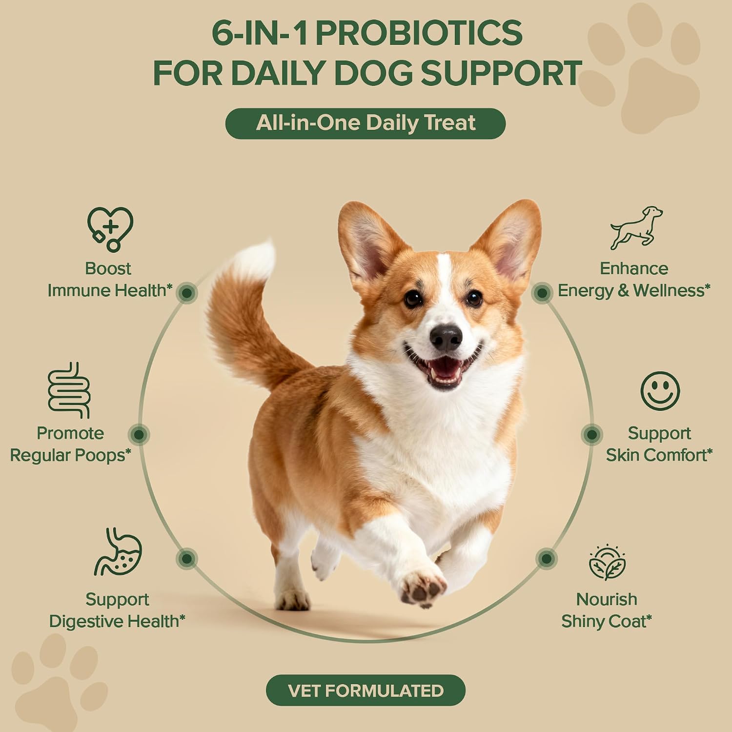 SHINEPAWS dog probiotic soft chews showing the side panel with ingredients and prebiotic enzymes.