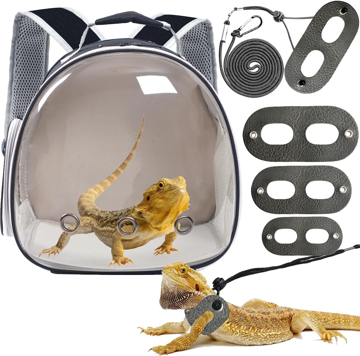 Bearded Dragon Backpack Carrier,Reptile Portable Backpack Carrier with Small Backpack Harness Leash Set,Space Capsule Clear Bubble Window Travel Backpack for Lizard Travel,Guinea Pig,Rabbit - Image 12