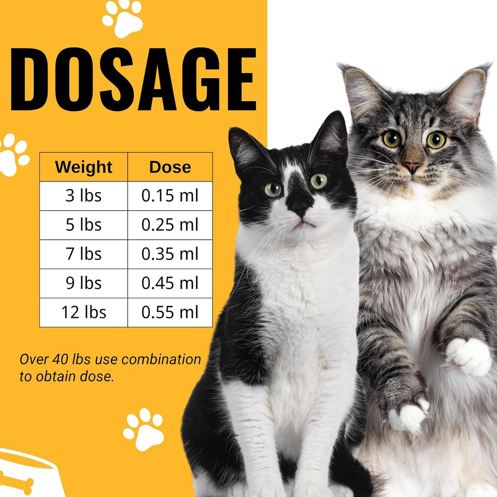 Morvequa liquid dewormer for cats and kittens mixing instruction label details