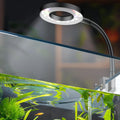 Pawfly six watt led aquarium light front view on a small desktop fish tank