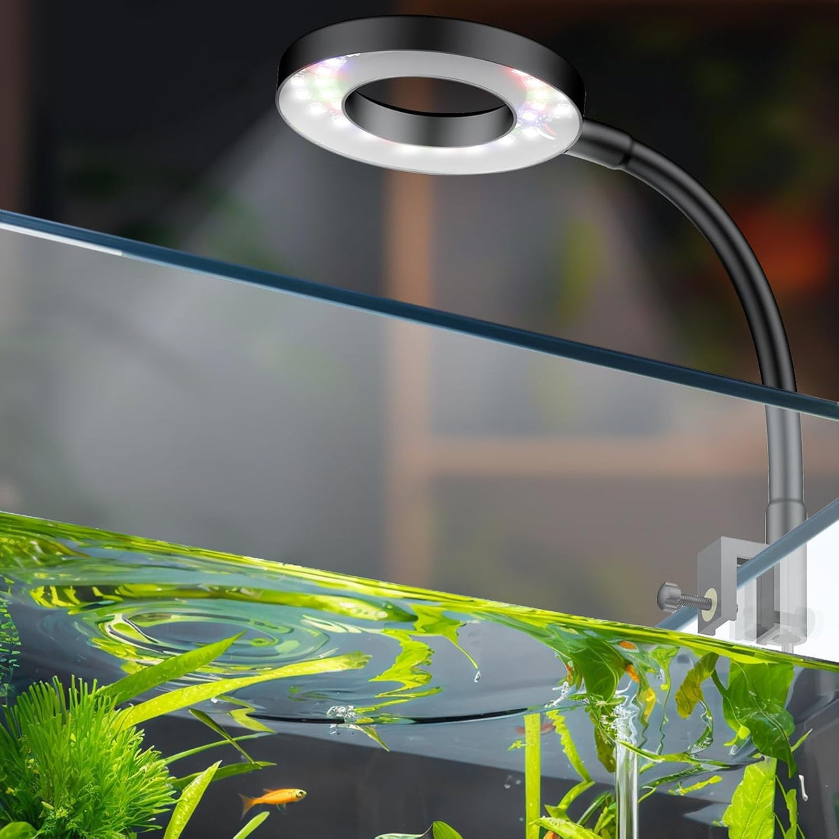 Pawfly six watt led aquarium light front view on a small desktop fish tank