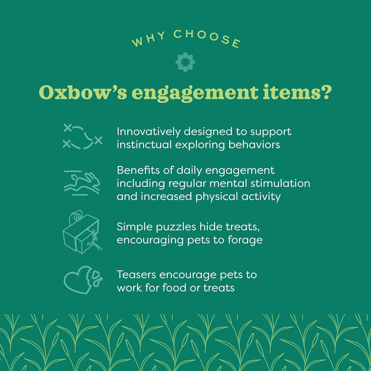 Oxbow small animal play wall mounted on wire bars