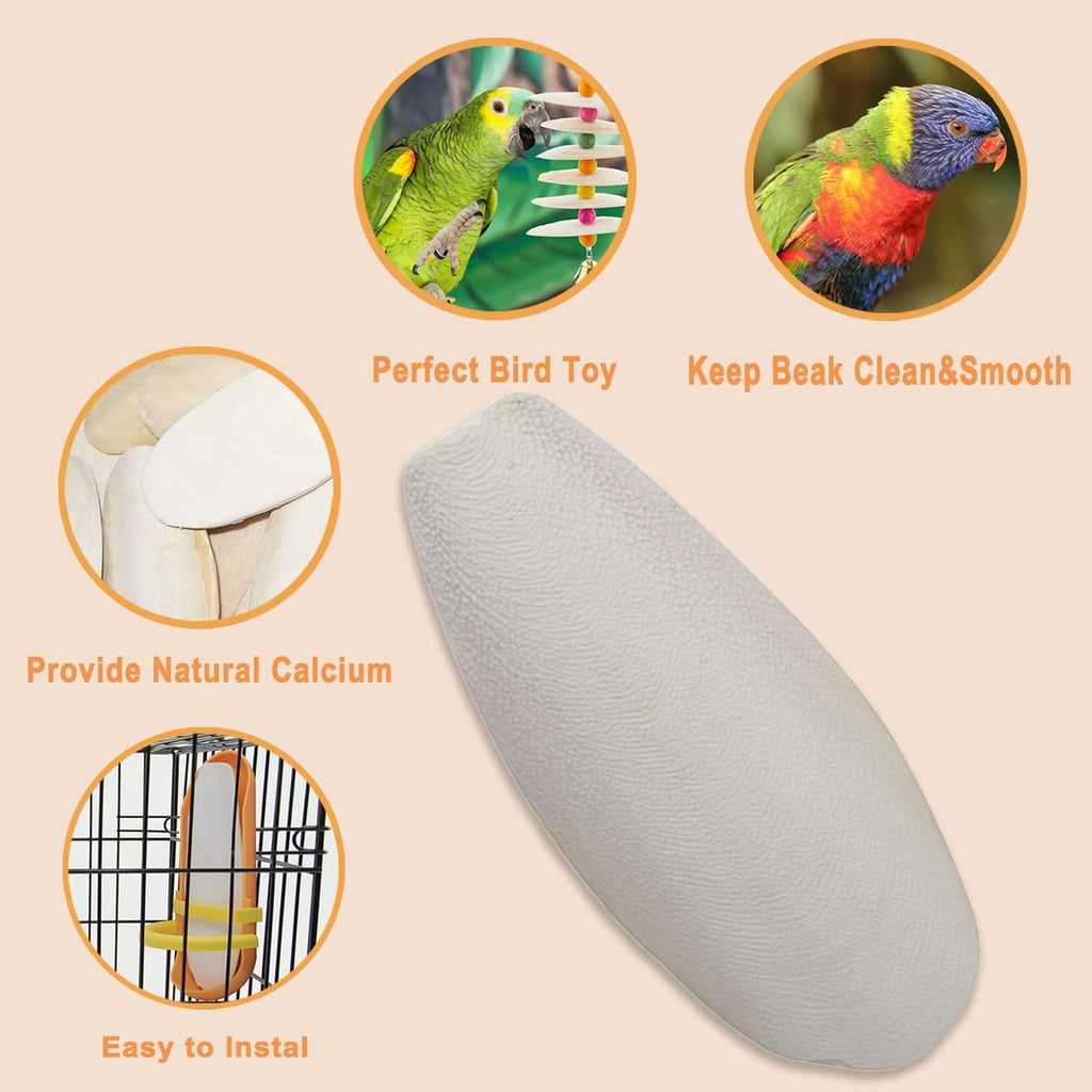 Detailed view of the plastic cage holder included with Kingmo cuttlebone