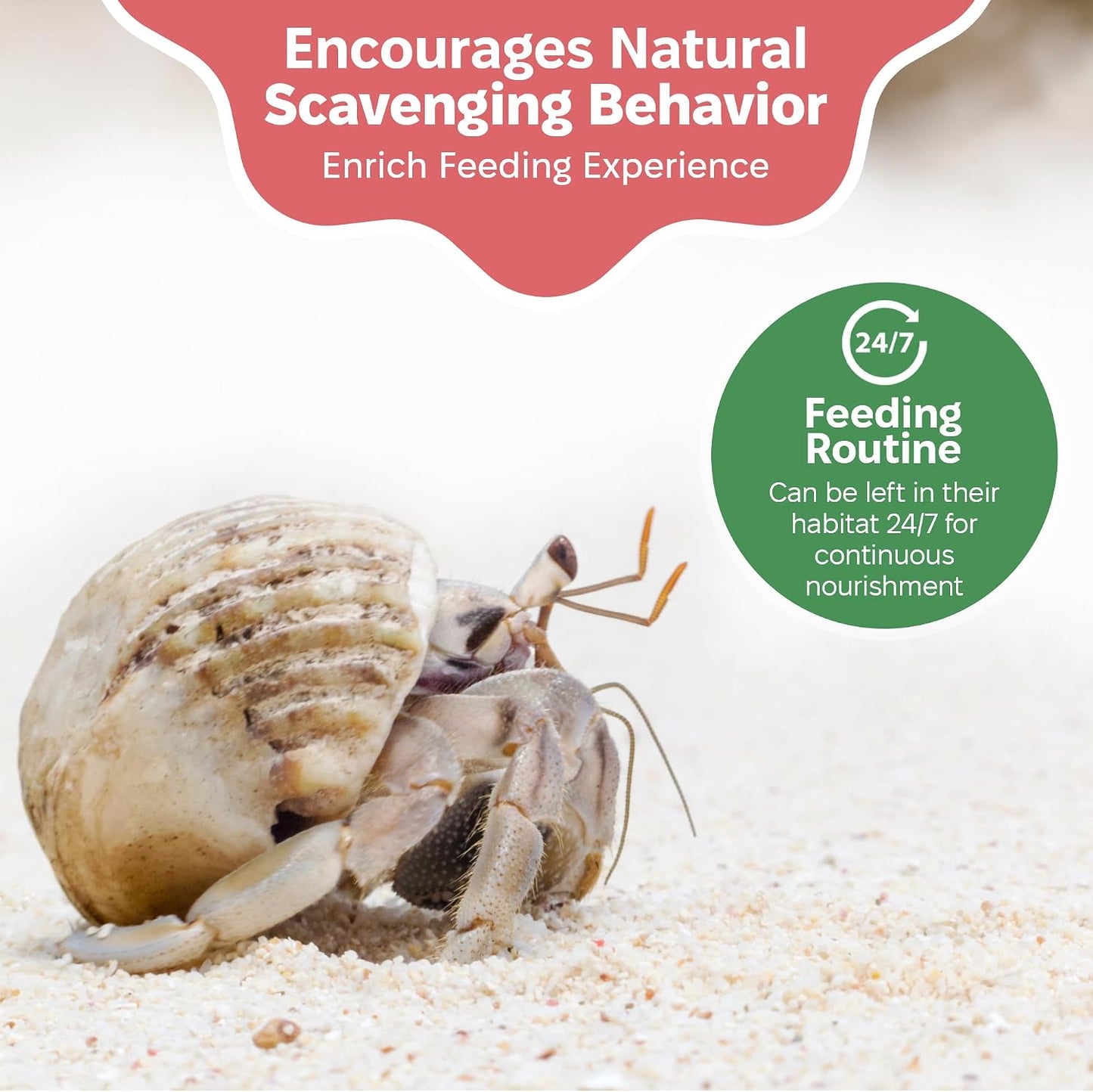 Snout and Shell natural greensand supplement for pet crabs