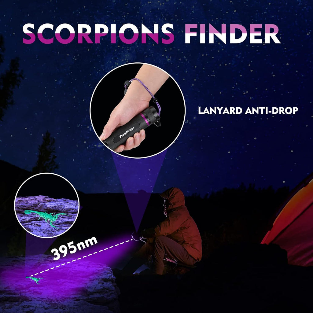 EverBrite 395nm black light illuminating a fluorescing scorpion during nighttime outdoor use.