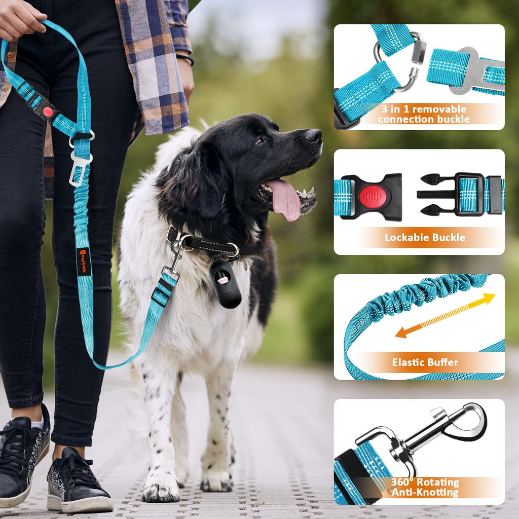 Close up of 360-degree swivel carabiner on dog leash